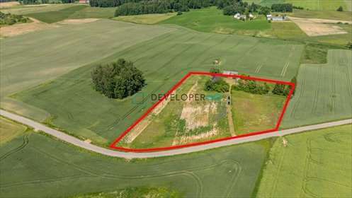 Urokliwe siedlisko 14 476 m² z potencjałem inwestycyjnym działka Białogóry, Białogóry 28