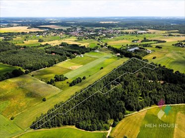 Na sprzedaż działka 2,73 ha pod inwestycję lub siedlisko w Łukcie działka Łukta