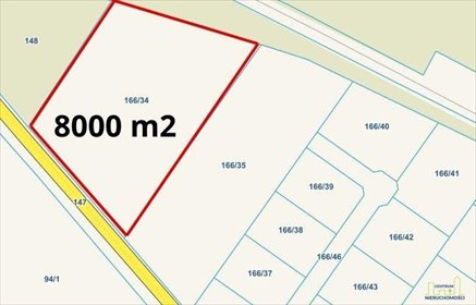 Duża działka pod zabudowę z lasem i podziałem, 8 000 m2 działka Niałek Wielki, Kiełpińska