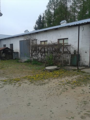 Magazyn na wynajem Baboszewo 400m2 Foto 3