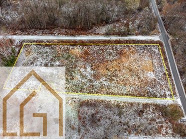 Polecam dużą działkę 7335 m² w Zboiskach z MPZP działka Zboiska