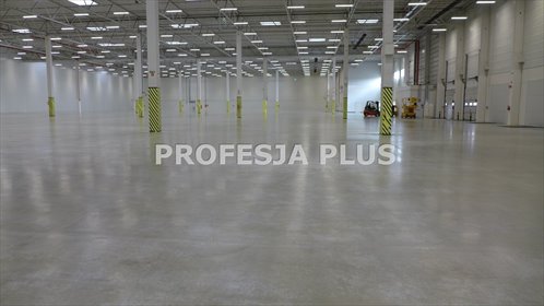magazyn na wynajem 5000m2 magazyn Gliwice