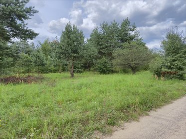 Sprzedam działkę 3000 m² z pozwoleniem na budowę w Piotrkowicach działka Piotrkowice
