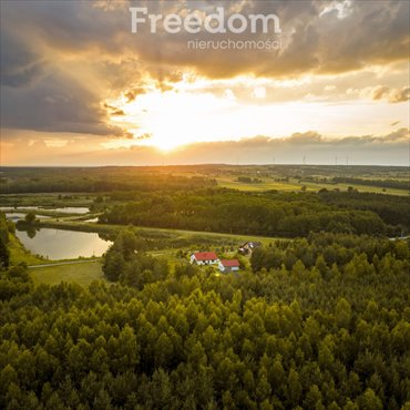 dom na sprzedaż 126m2 dom Antoniówka