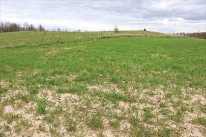 Działka rolna na sprzedaż Gorłówko 3 883m2 Foto 6
