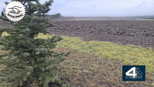 działka na sprzedaż 892m2 działka Pobiednik Wielki, brak