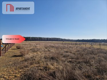 Działka budowlana 939 m² z dostępem do jeziora i lasu działka Kalina