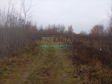 działka na sprzedaż 39335m2 działka Kłudno Nowe