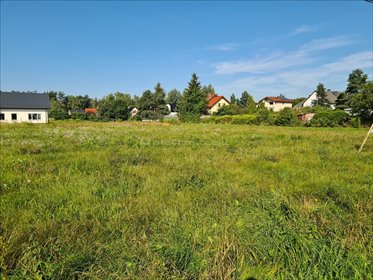 działka na sprzedaż Bukowiec Brójce 3108 m2