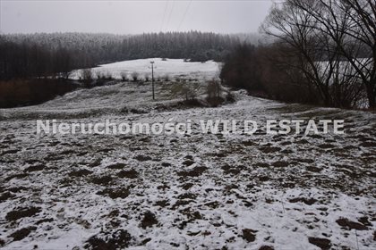 działka na sprzedaż 5376m2 działka Olszanica, Paszowa