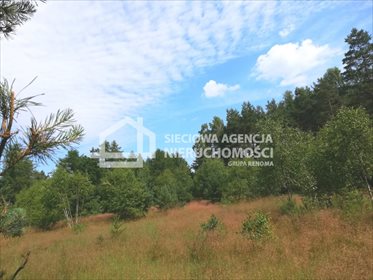 Działka rolna na sprzedaż Załęże 6 400m2 Foto 2