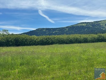 działka na sprzedaż 1600m2 działka Podłopień