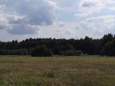 działka na sprzedaż 40000m2 działka Polkowice