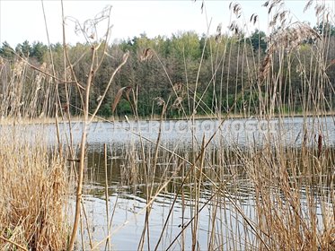 działka na sprzedaż Grabnik 5023 m2