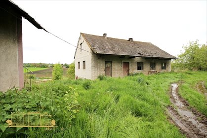 Działka rolna na sprzedaż Tempoczów-Kolonia 23 000m2 Foto 4