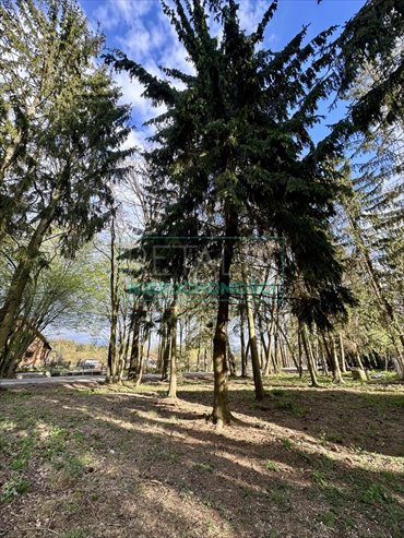 działka na sprzedaż 2500m2 działka Żółwin