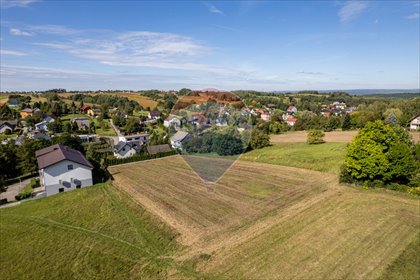 działka na sprzedaż 3658m2 działka Sanka