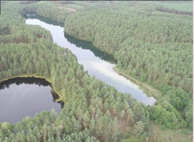 Udziały w prywatnym jeziorze Lubaszki Polskie polecam działka Prądzonka