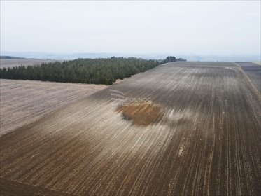 Działka siedliskowa na sprzedaż Imbramowice 24 440m2 Foto 2