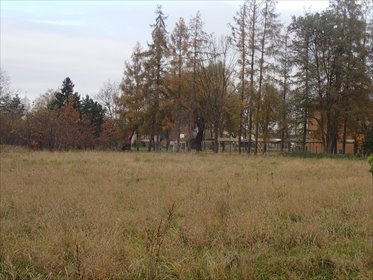 działka na sprzedaż 15318m2 działka Ochaby Małe