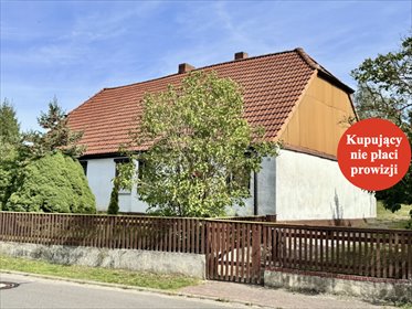 Dom do remontu z budynkiem gospodarczym i sadem - polecam! dom Pampow, Meklemburgia-Pomorze Przednie