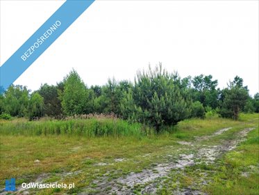 Działka budowlana 1200 m² narożna w Krzakach Czaplinkowskich działka Krzaki Czaplinkowskie, Główna
