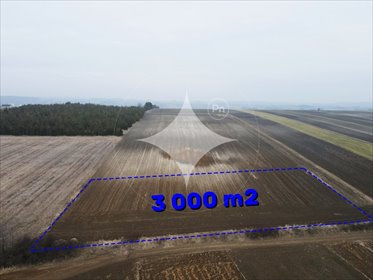 działka na sprzedaż 3195m2 działka Imbramowice
