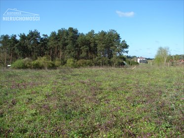 działka na sprzedaż 9171m2 działka Zwierzewo, Zwierzewo