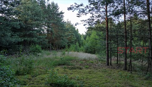 Urokliwa działka 1137 m2 z mediami w Pracach Dużych. działka Prace Duże