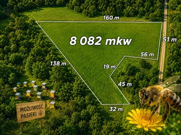 Działka rolna 8 082 m² w Czułowie – inwestycja i relaks działka Czułów