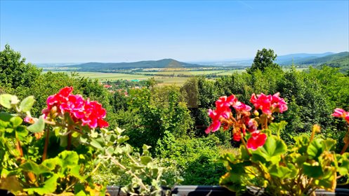 Pensjonat z widokiem na góry - 320 m² inwestycja dom Srebrna Góra