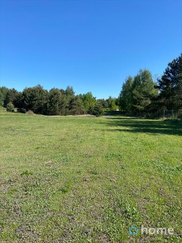 Zapraszam do zakupu działki 4384 m² w Kamionkach Małych działka Kamionki Małe