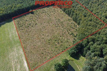 Działka 36 661 m² z domem, stawem i potencjałem inwestycyjnym. działka Bogoria-Kolonia