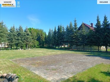 działka na sprzedaż 1387m2 działka Morzyczyn