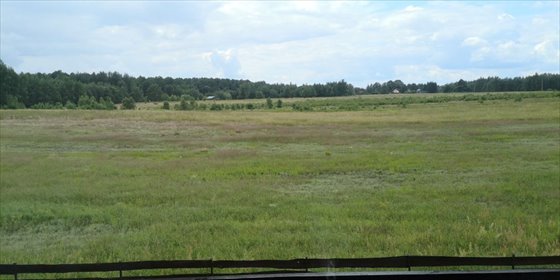 Dom na sprzedaż Pilchy 120m2 Foto 5
