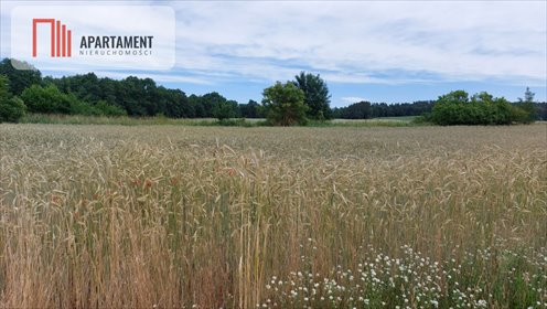 Działka budowlana 3000 m² z dostępem do wody i prądu działka Śmiłowo