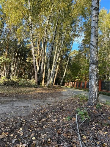 Zapraszam do obejrzenia działki 5500 m² z podziałem w Lesznie działka Wólka