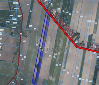Polecam działkę 21 600 m² w Biskupicach z warunkami zabudowy działka Biskupice