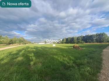 Działka 4552 m² w Radomsku - zapraszam działka Radomsko, Bażantów