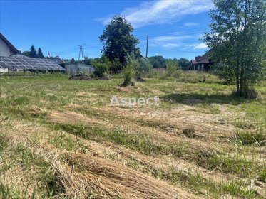 działka na sprzedaż 1000m2 działka Wodzisław Śląski, Turzyczka