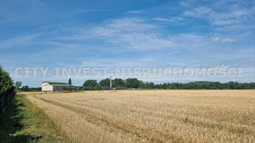 działka na sprzedaż Zielona Góra Nowy Kisielin 20000 m2