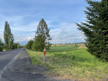 działka na sprzedaż 1400m2 działka Rudnik