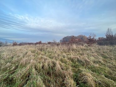 działka na sprzedaż 4123m2 działka Wojcieszyce