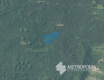 Działka leśna na sprzedaż Ostrężnica 19 600m2 Foto 4