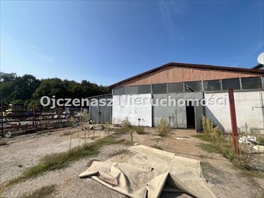 Hala 160 m² z budynkiem mieszkalnym i magazynami - Szubin magazyn Szubin