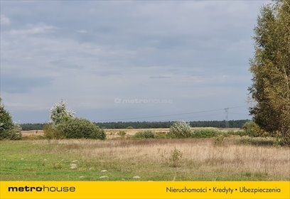 Działka rolna na sprzedaż Borowno, Ogrodowa 3 700m2 Foto 5