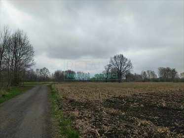 działka na sprzedaż 1345m2 działka Budy Zosine