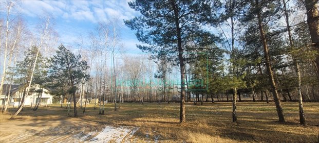 działka na sprzedaż 3006m2 działka Adamowizna