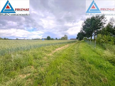 działka na sprzedaż 3249m2 działka Gady