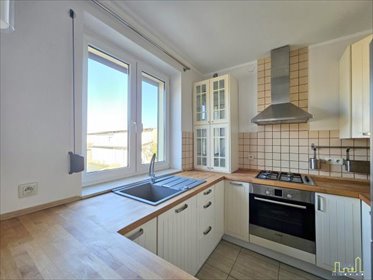 mieszkanie na wynajem 39m2 mieszkanie Belęcin